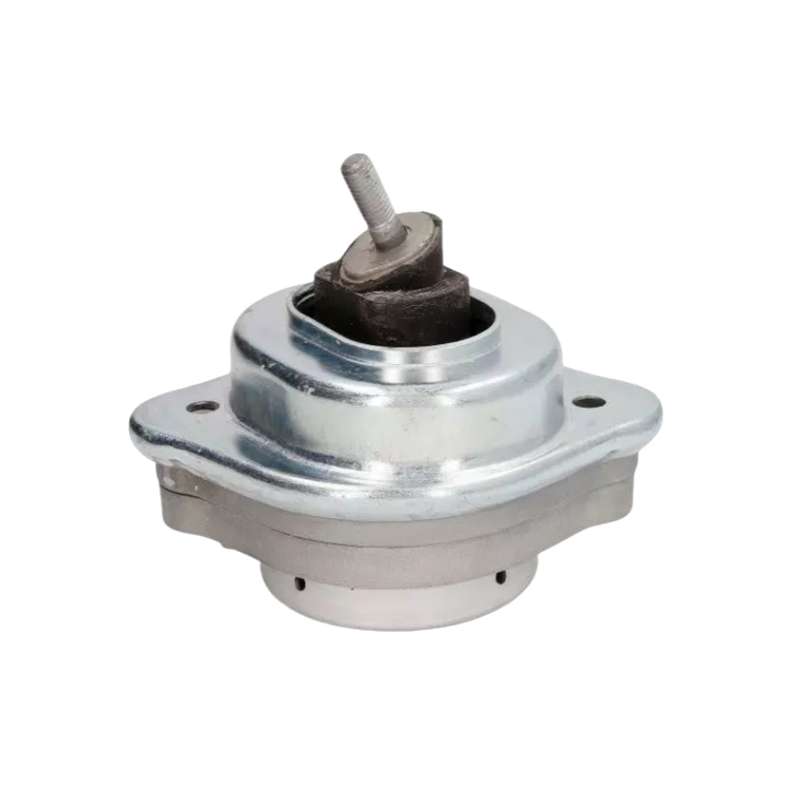OEM1：22113400338 BMW Engine Mount